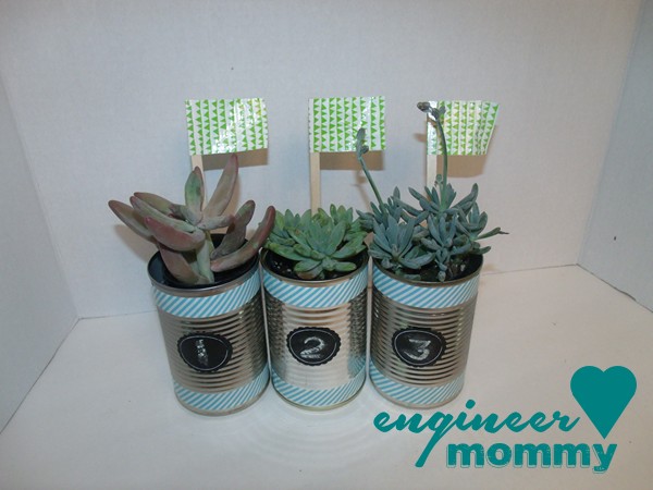 Tin Can Planters