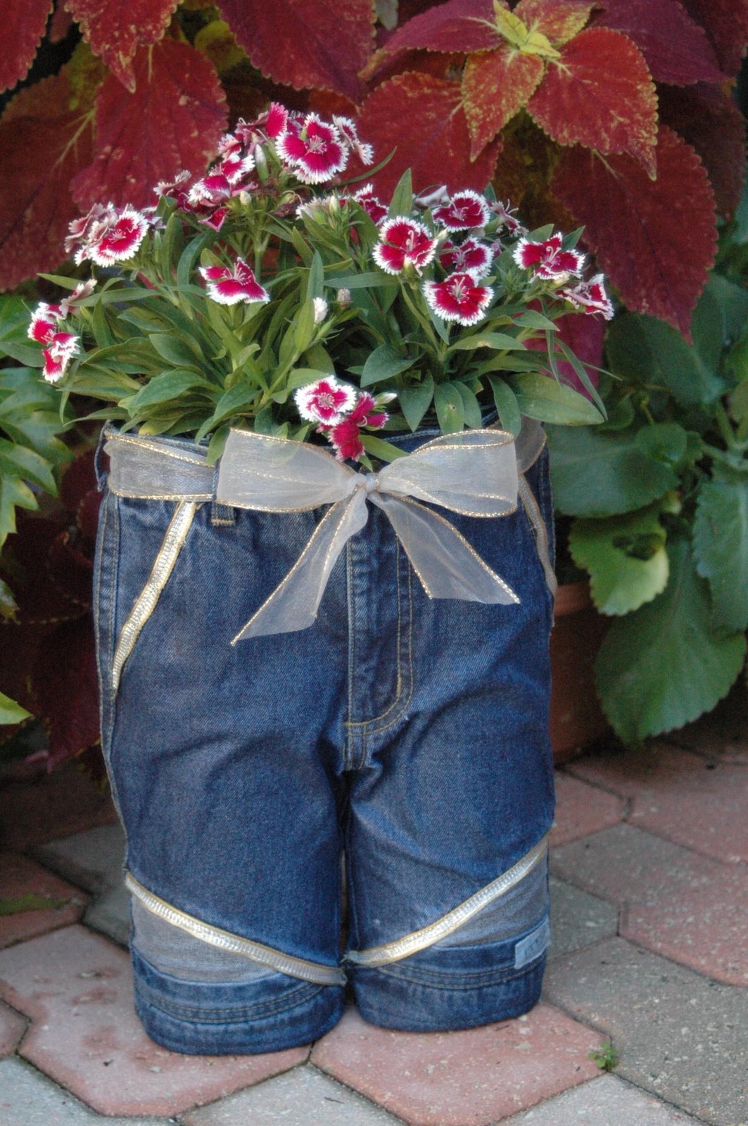 Denim Jeans Planter